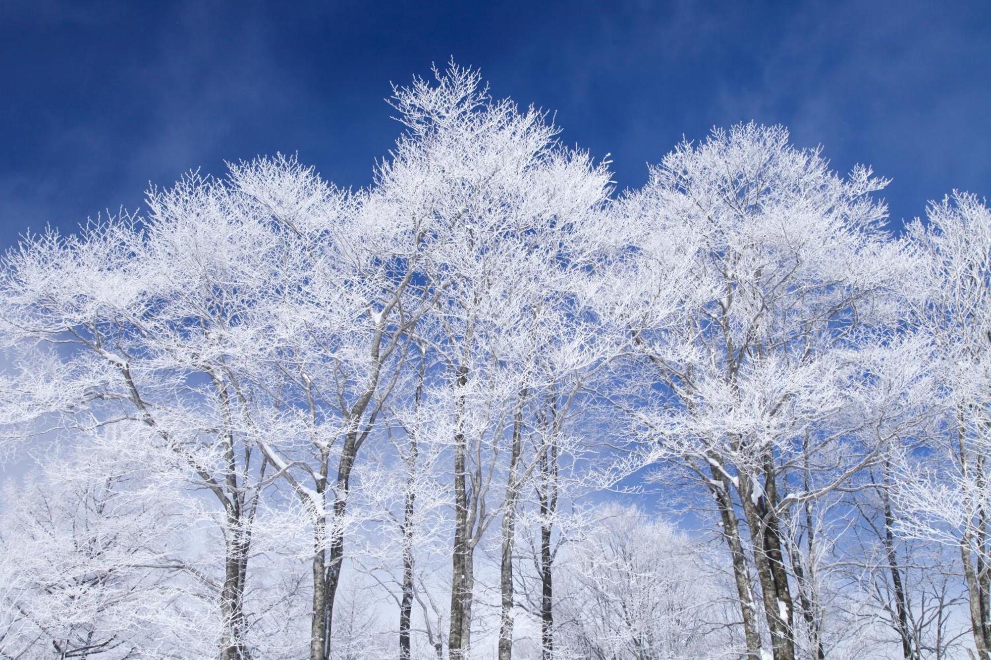Hakuba Hatago Maruhachi Екстер'єр фото